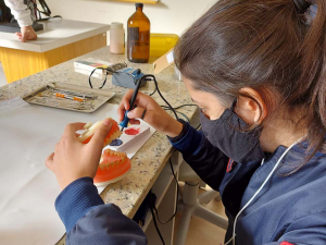 Alunos do 3º ano participam de projeto da UFN